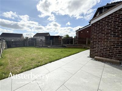 Picture 14